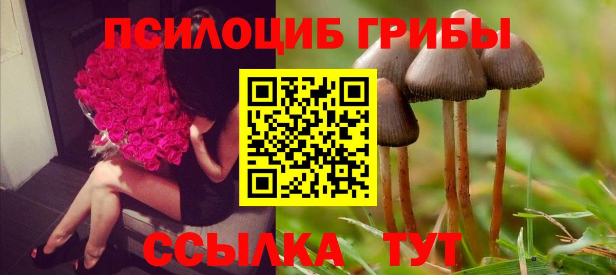 Галлюциногенные грибы Psilocybe Алушта